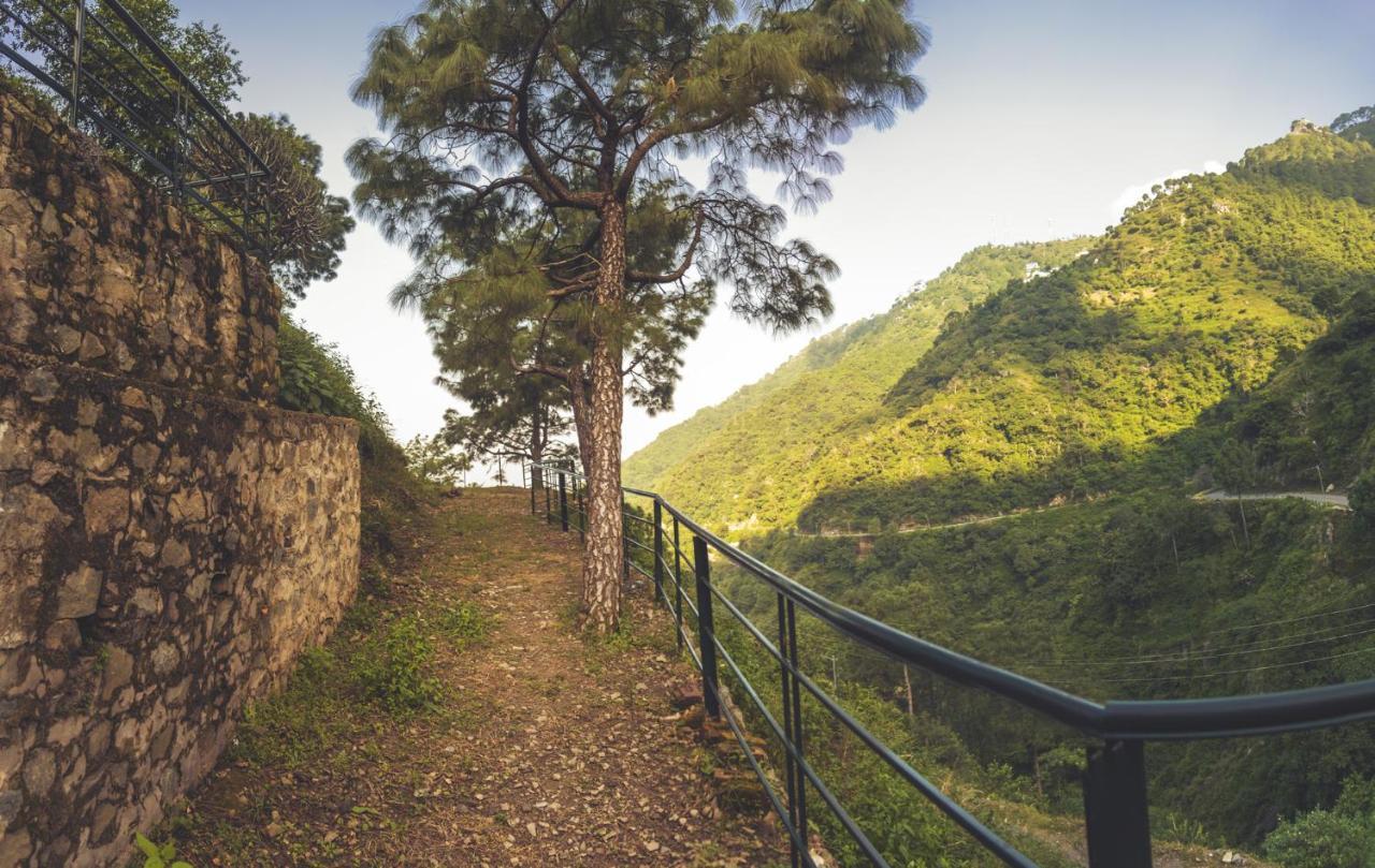 Safarmaina Resort Kasauli Kültér fotó