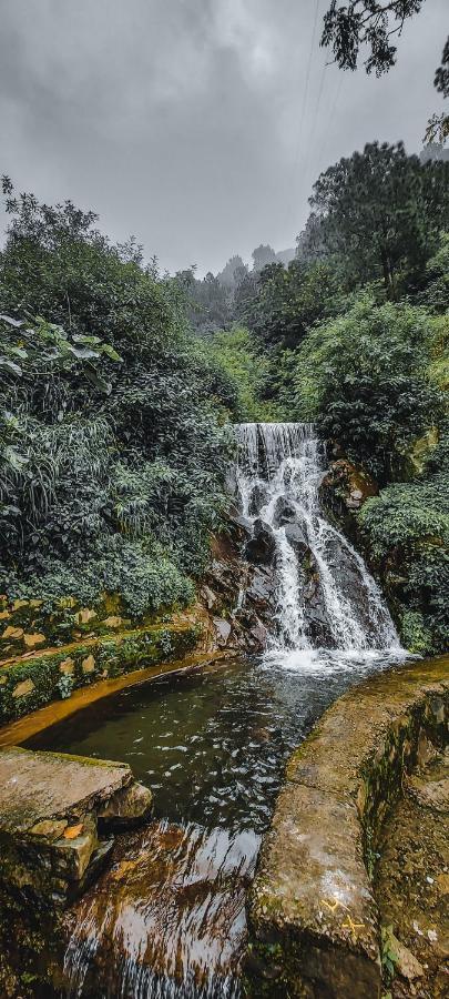 Safarmaina Resort Kasauli Kültér fotó