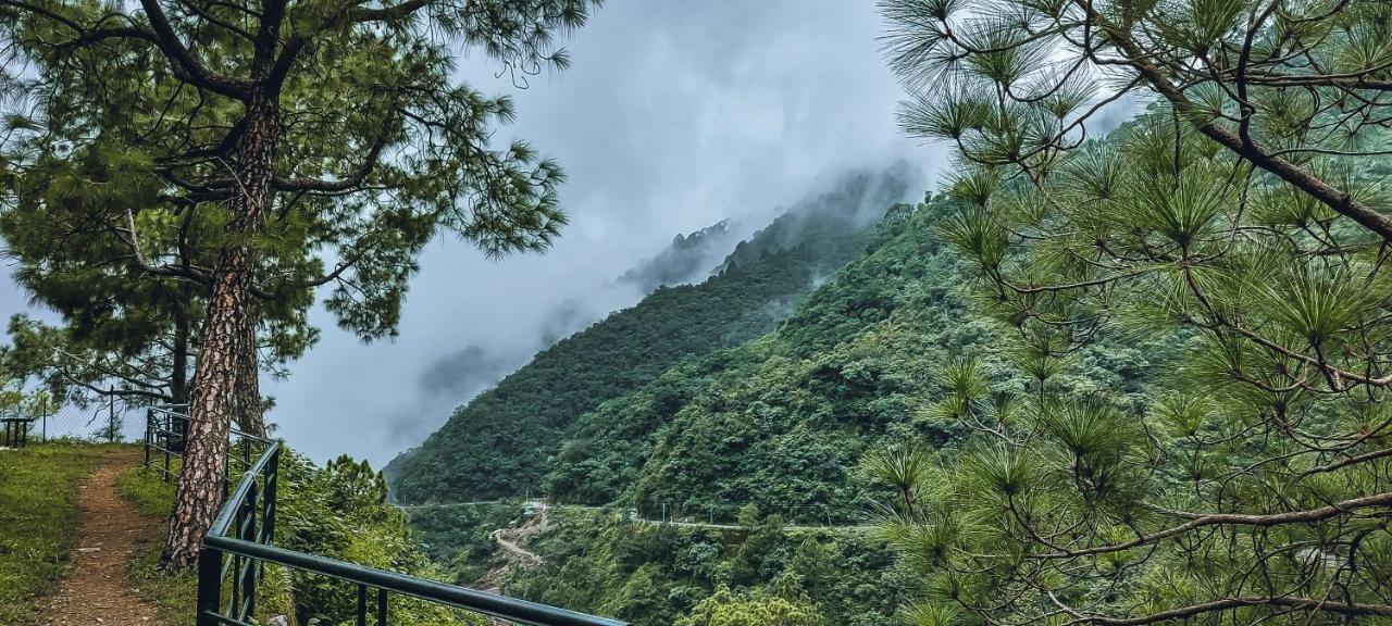 Safarmaina Resort Kasauli Kültér fotó