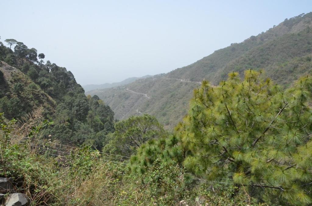 Safarmaina Resort Kasauli Kültér fotó