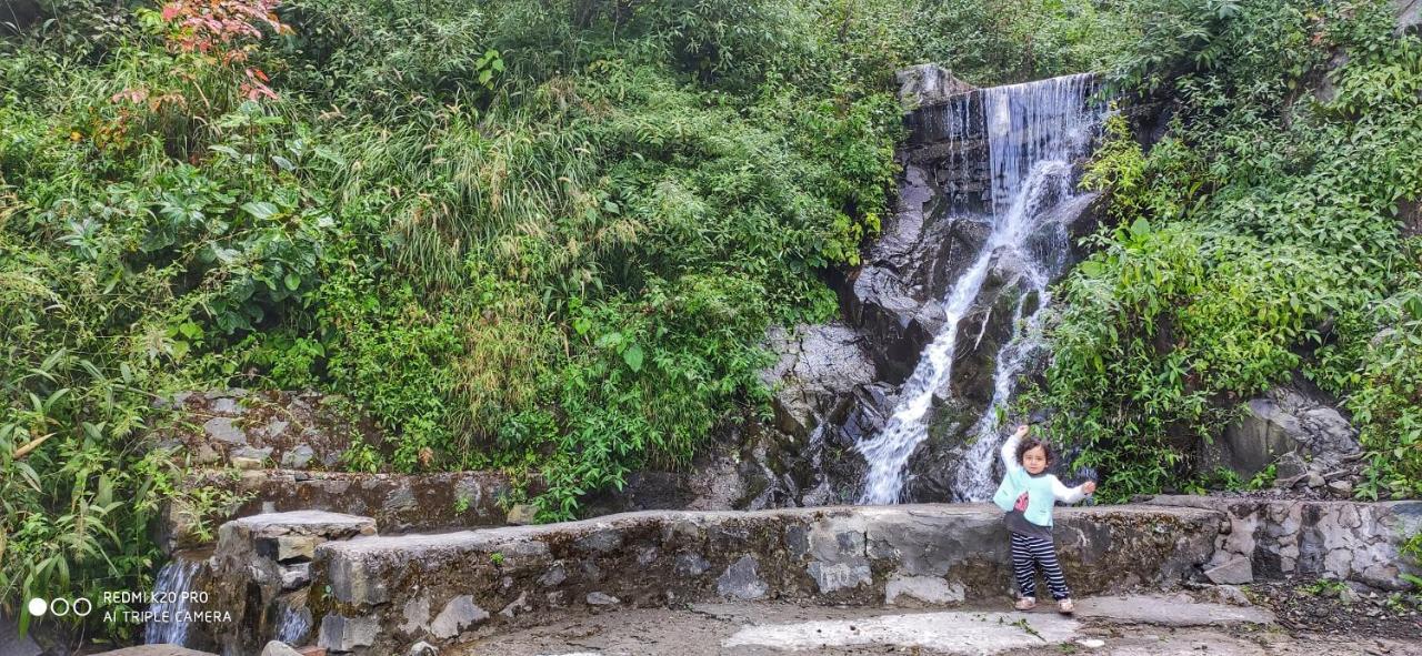 Safarmaina Resort Kasauli Kültér fotó