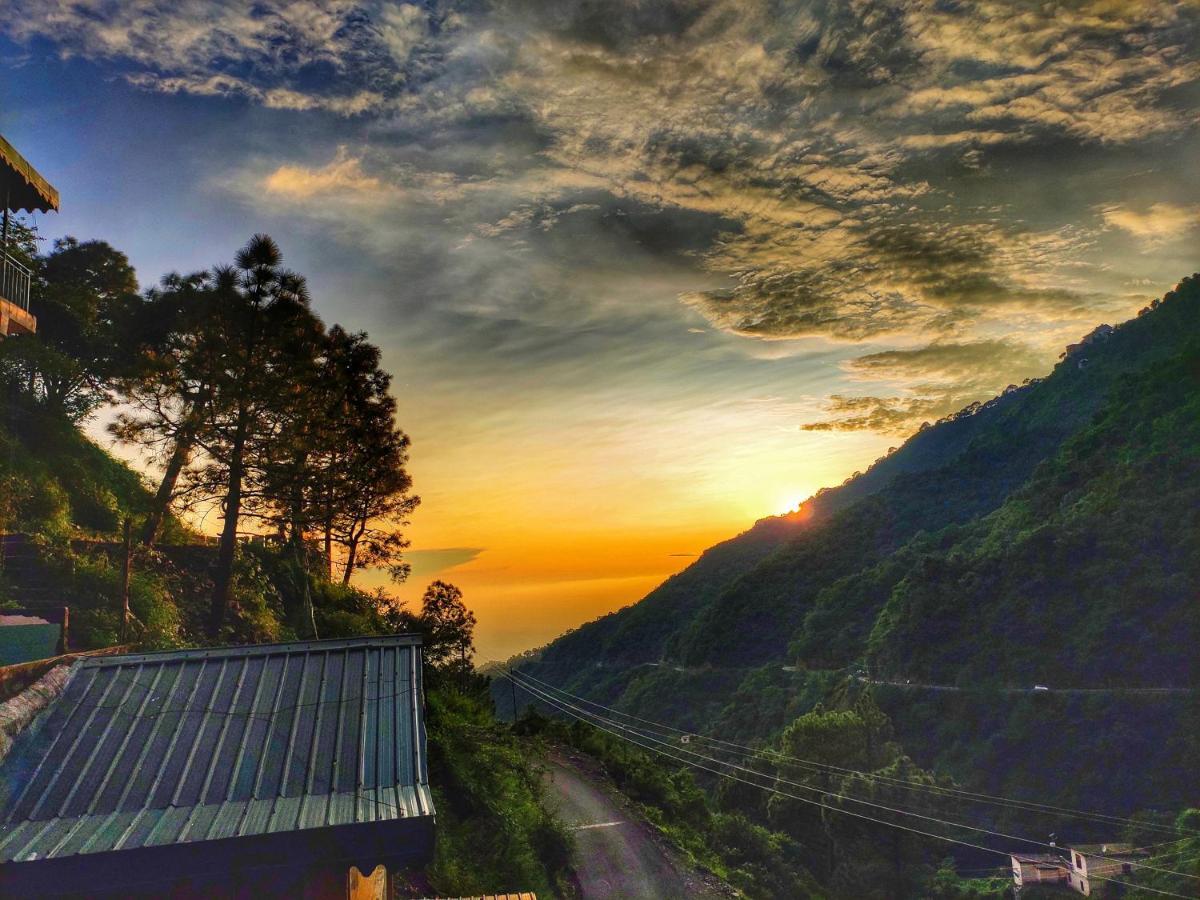 Safarmaina Resort Kasauli Kültér fotó