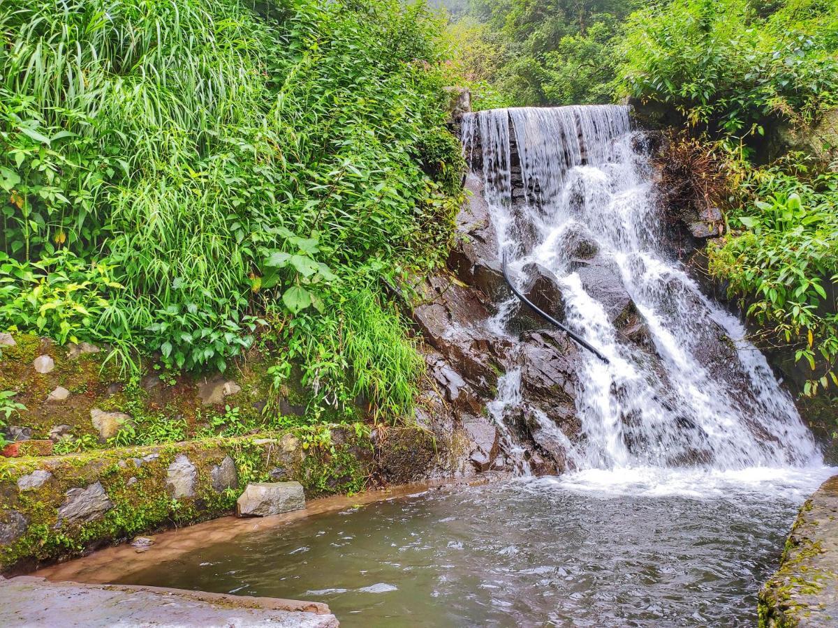 Safarmaina Resort Kasauli Kültér fotó
